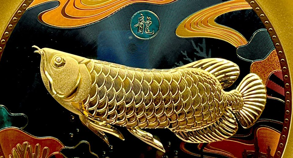 24K真金箔-招財金龍魚